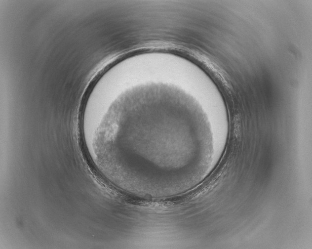 X0000115421229200912011320