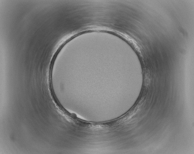 X0000115421231200912011320