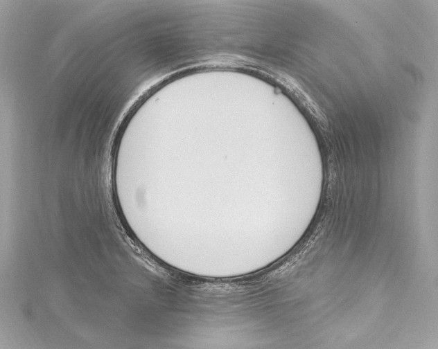 X0000115421232200912011320