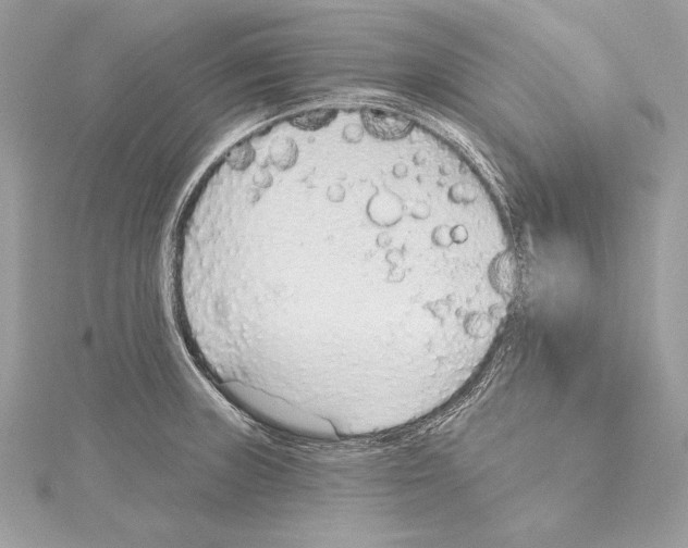 X0000115421235200912011320