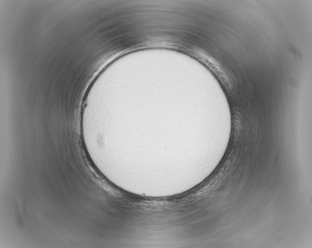 X0000115421236200912011320