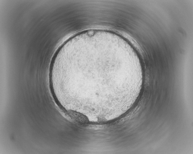 X0000115421237200912011320