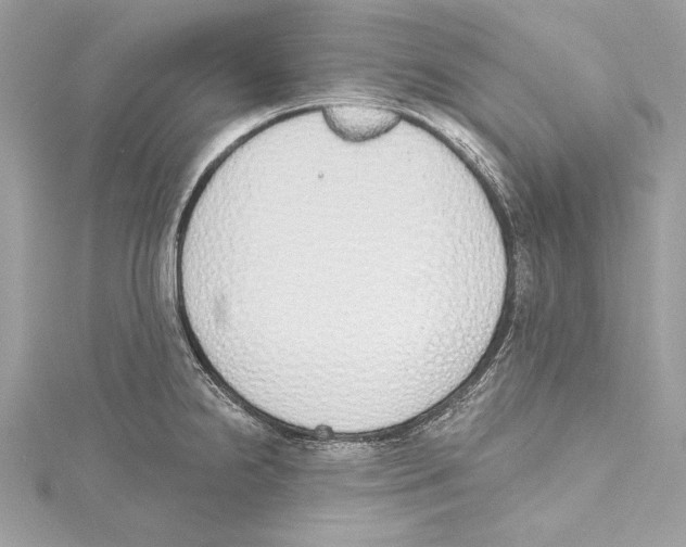 X0000115421238200912011320