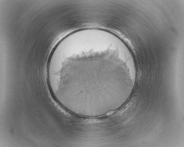 X0000115421239200912011320