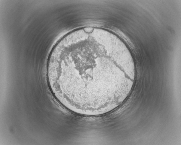 X0000115421240200912011320