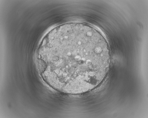 X0000115421243200912011320