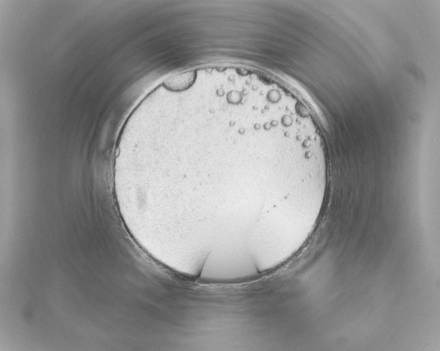 X0000115421244200912011320