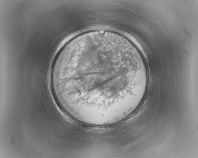 X0000115421245200912011320