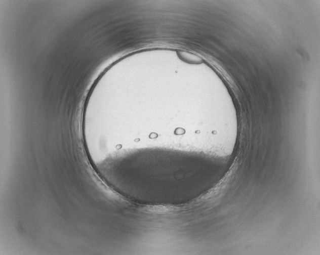 X0000115421246200912011320