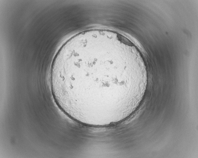 X0000115421247200912011320