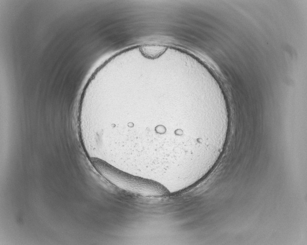 X0000115421248200912011320