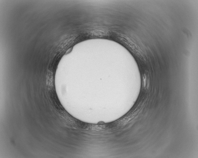 X0000115421251200912011320