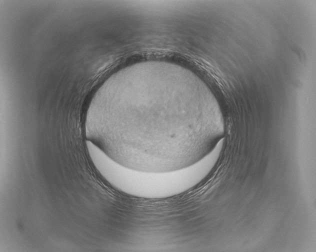 X0000115421252200912011320