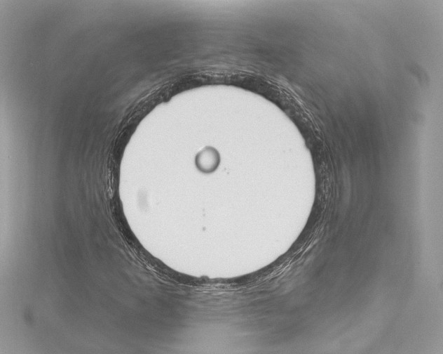 X0000115421253200912011320