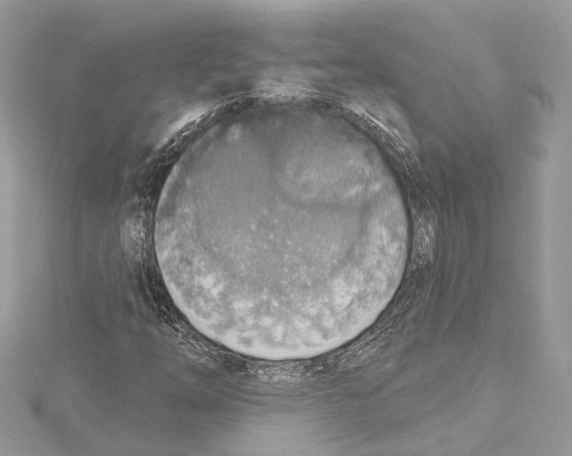 X0000115421254200912011320