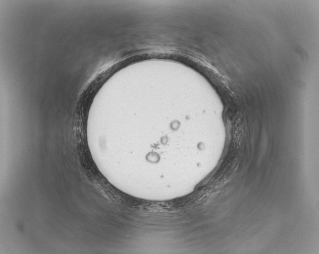 X0000115421255200912011320