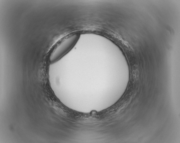 X0000115421256200912011319