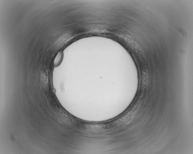 X0000115421257200912011319