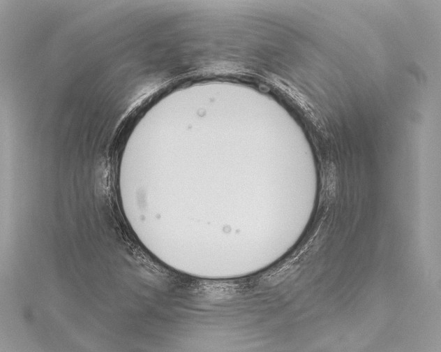 X0000115421258200912011319