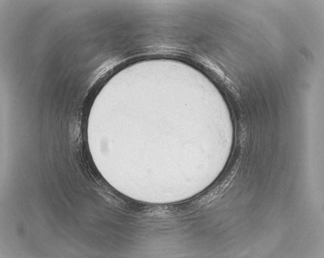 X0000115421259200912011319