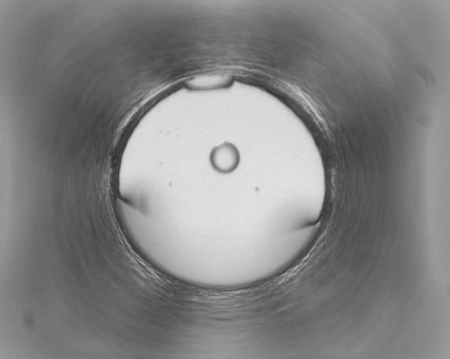 X0000115421260200912011319