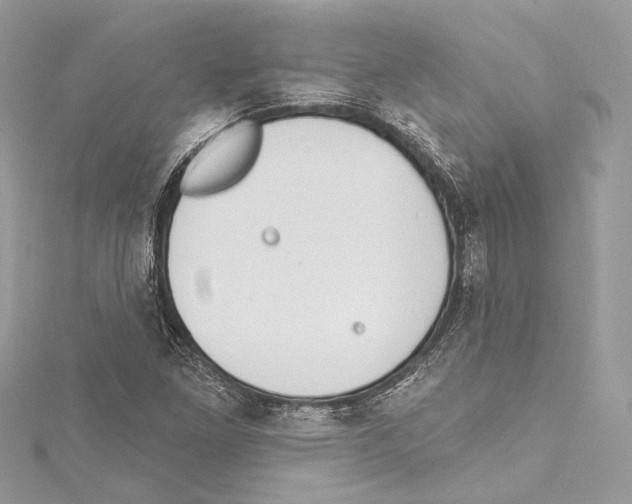 X0000115421261200912011319