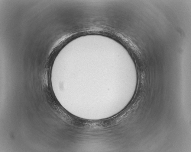 X0000115421262200912011319