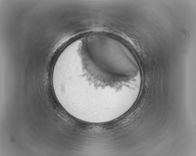 X0000115421263200912011319