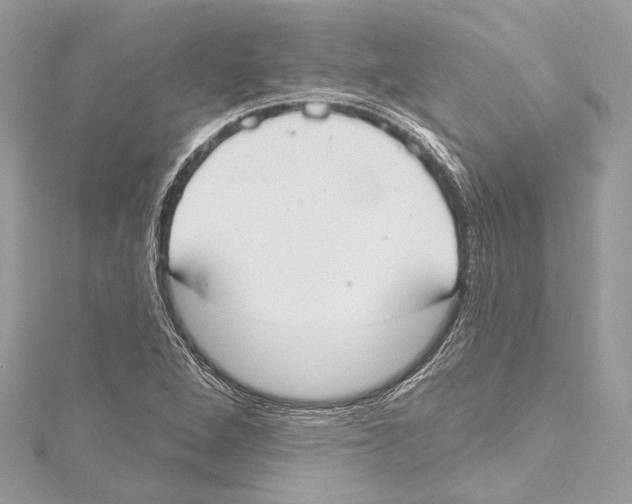 X0000115421264200912011319