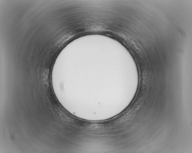 X0000115421265200912011319