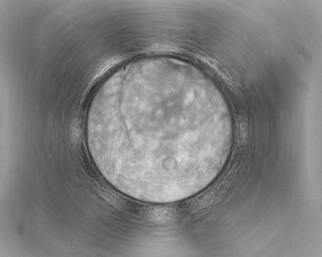 X0000115421266200912011319