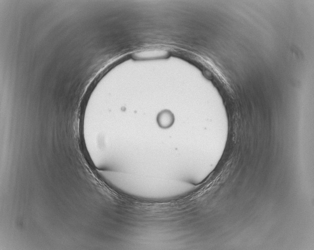 X0000115421268200912011319