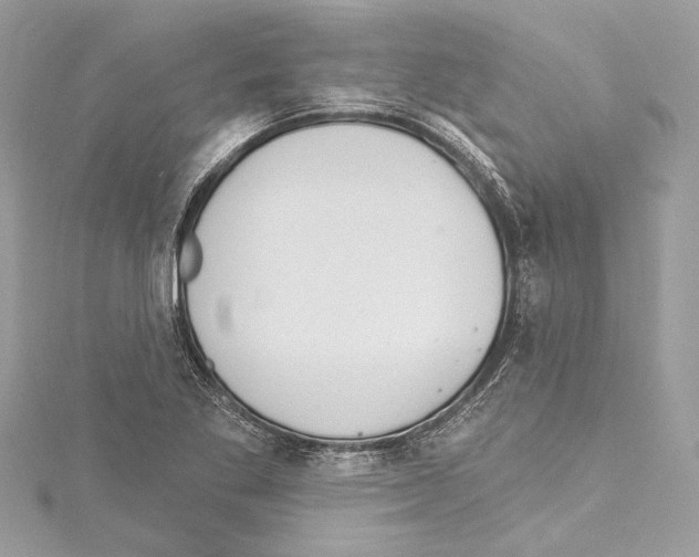 X0000115421269200912011319