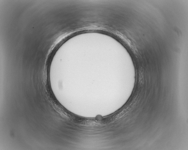 X0000115421270200912011319