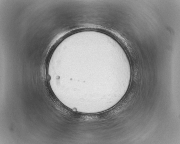 X0000115421271200912011319