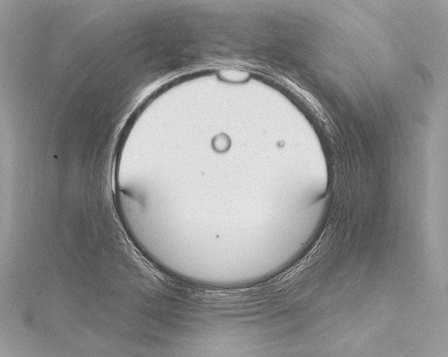 X0000115421272200912011319