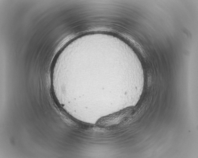 X0000115421274200912011319