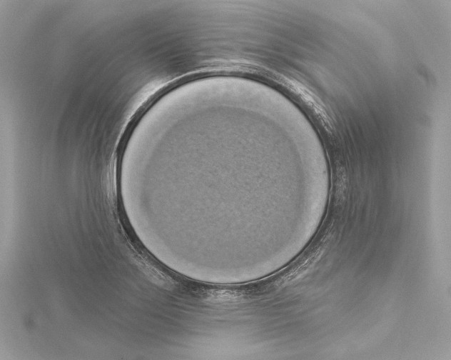 X0000115421275200912011319