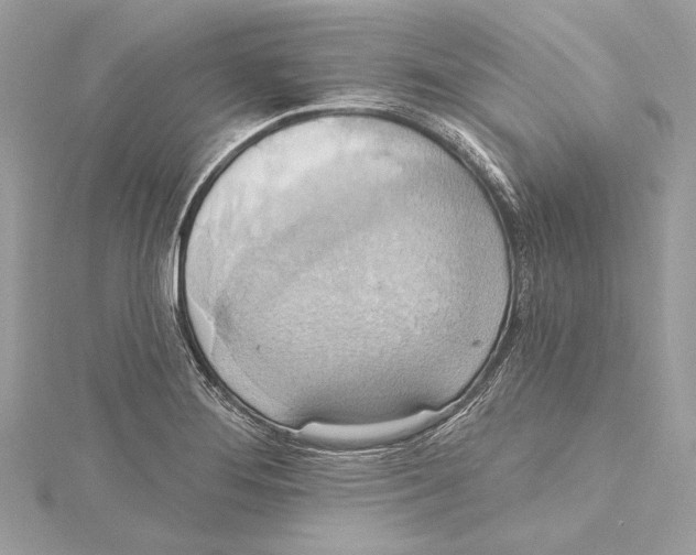 X0000115421276200912011319