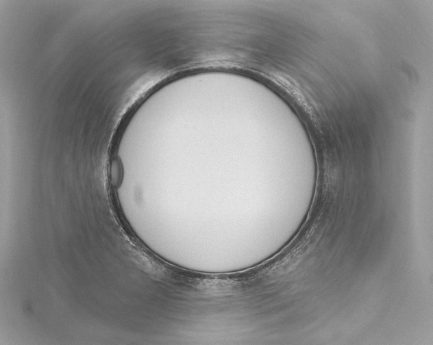 X0000115421277200912011319