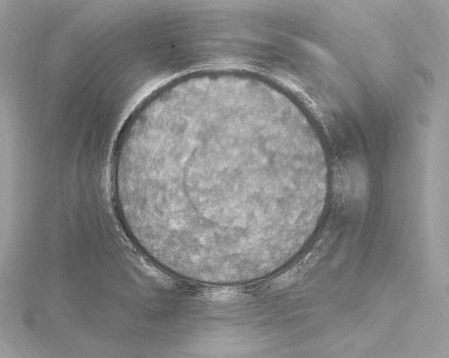 X0000115421278200912011319