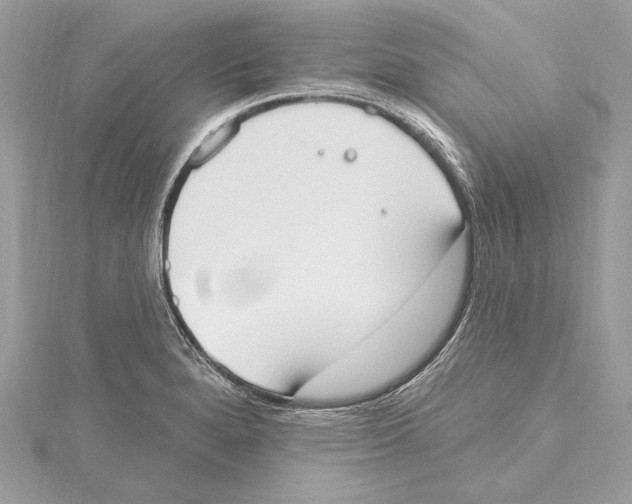 X0000115421280200912011319