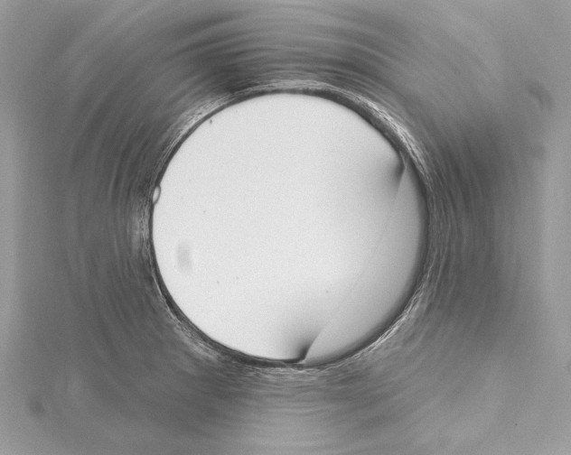 X0000115421281200912011319