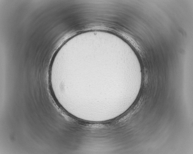 X0000115421282200912011319