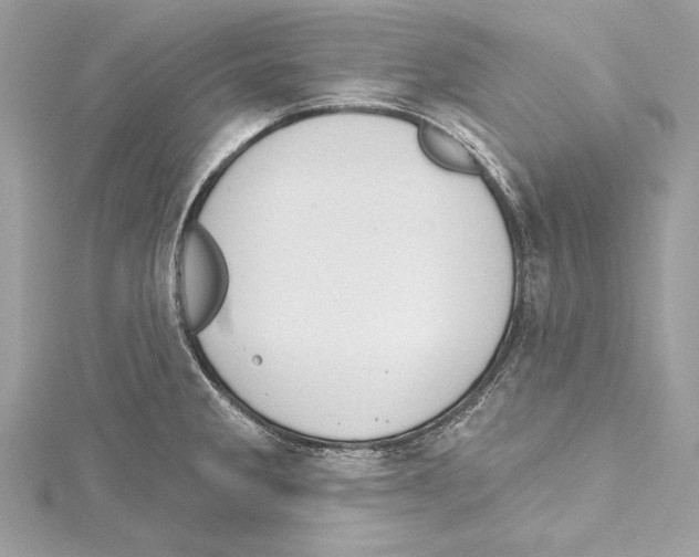 X0000115421285200912011319