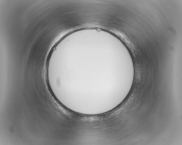 X0000115421286200912011319