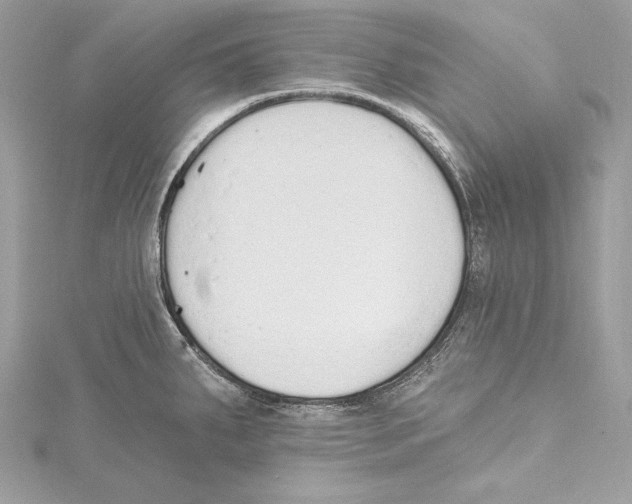 X0000115421287200912011319