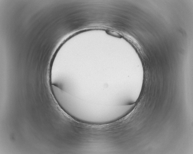 X0000115421288200912011319