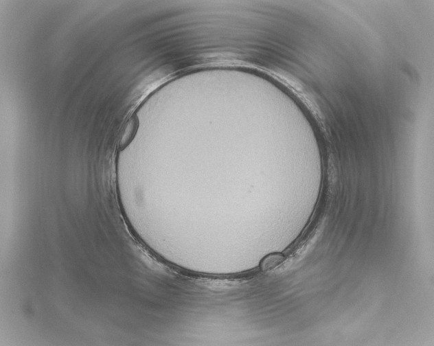 X0000115421289200912011319