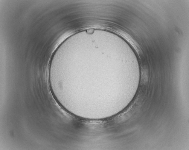 X0000115421290200912011319